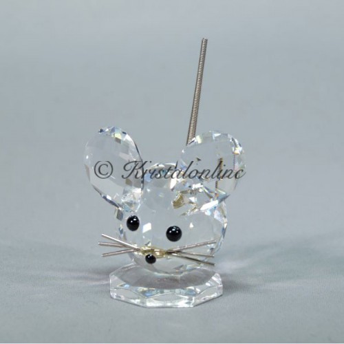Mouse small